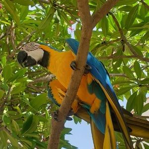 Meet your Posher, Evie